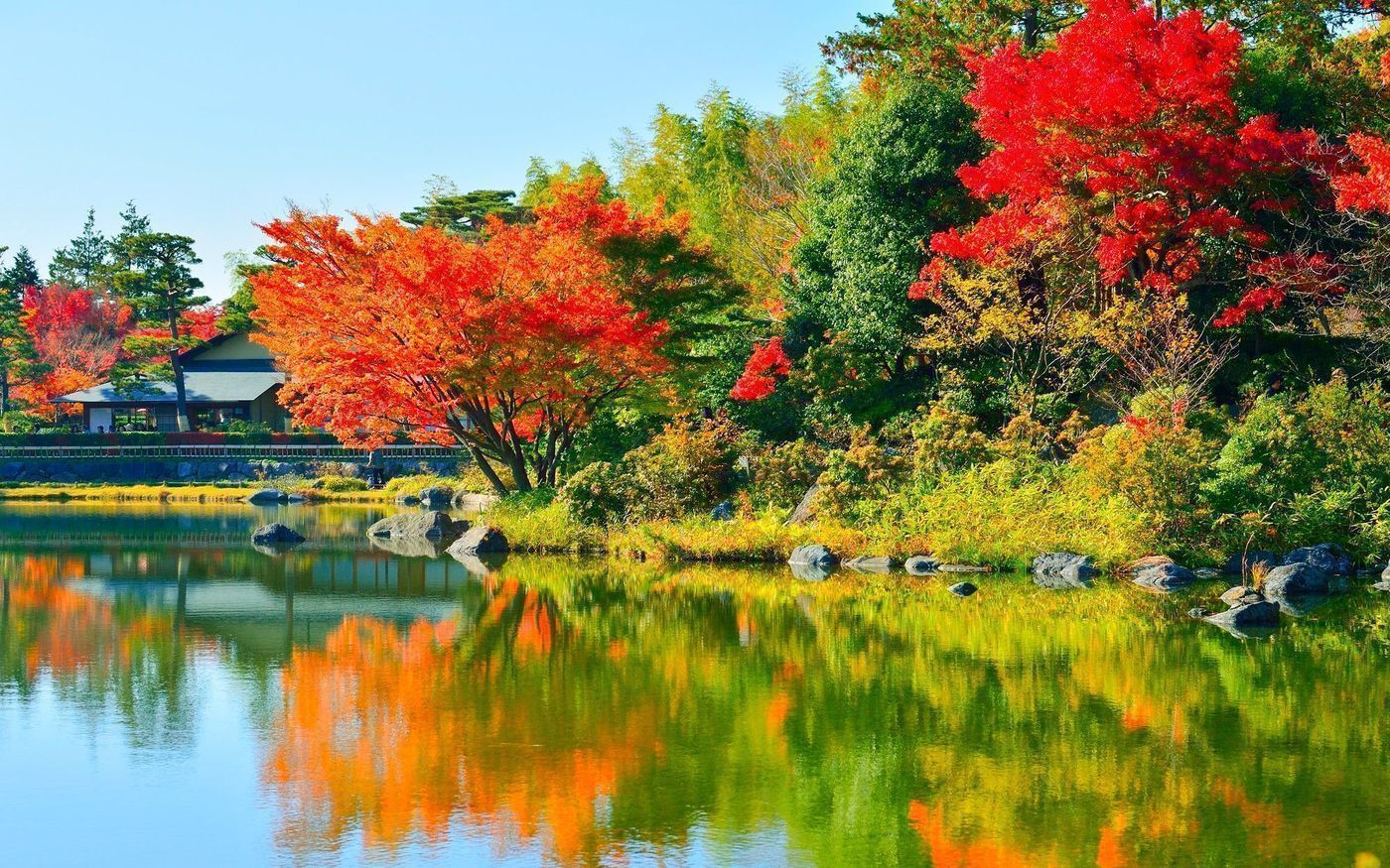 の画像