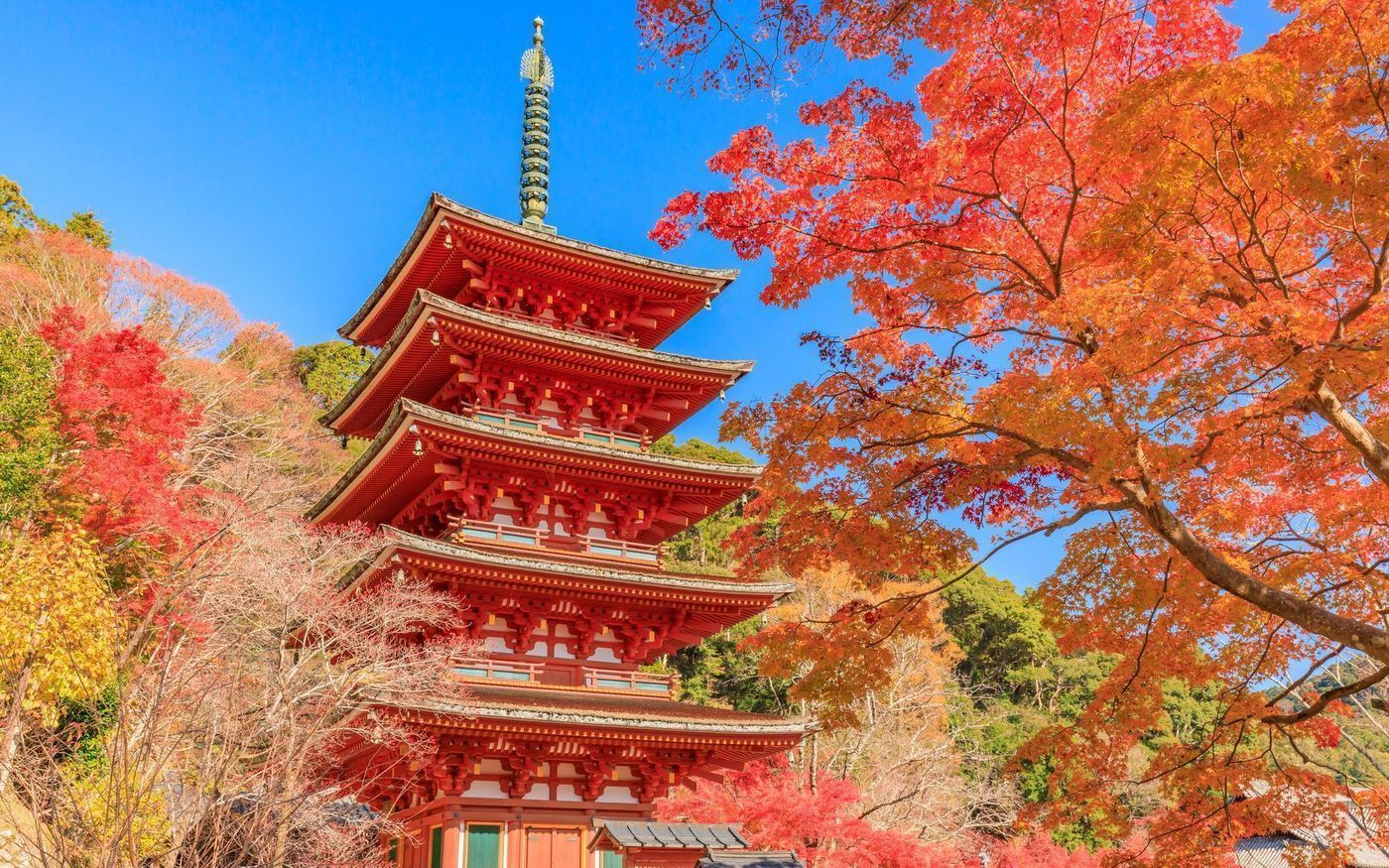 の画像