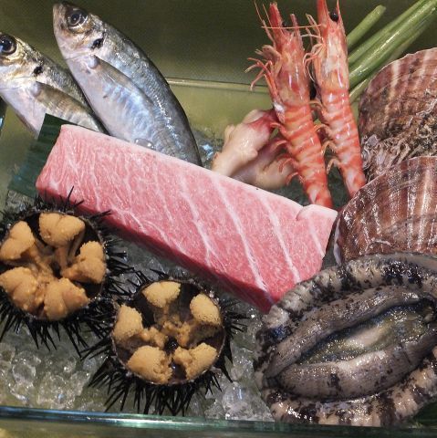 の画像