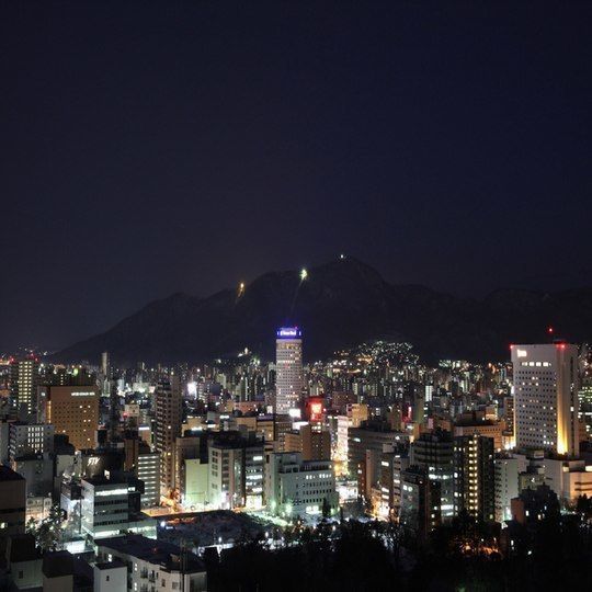 の画像