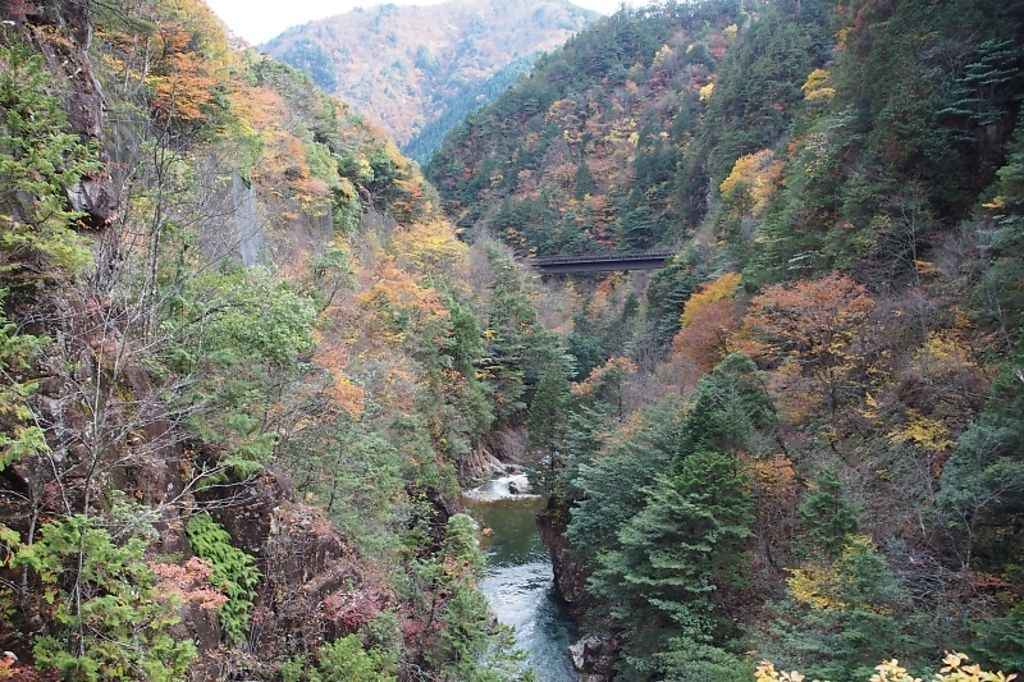 癒しの自然と昔ながらの街並み♡岐阜観光のおすすめ12選！の画像