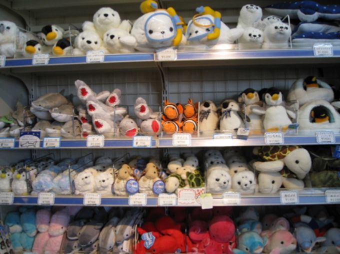 佐賀市 エビス ワラスボ しながわ水族館にエイリアンラーメン現る Fanfunfukuoka ファンファン福岡