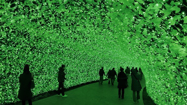 の画像