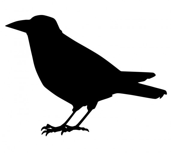 3歳息子が初めての視力検査 思わず吹いた珍回答 Fanfunfukuoka ファンファン福岡