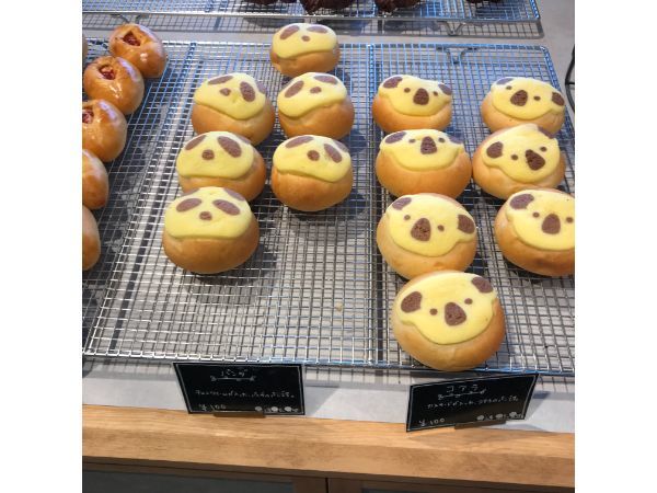 の画像
