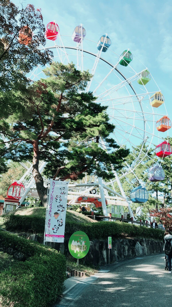 の画像