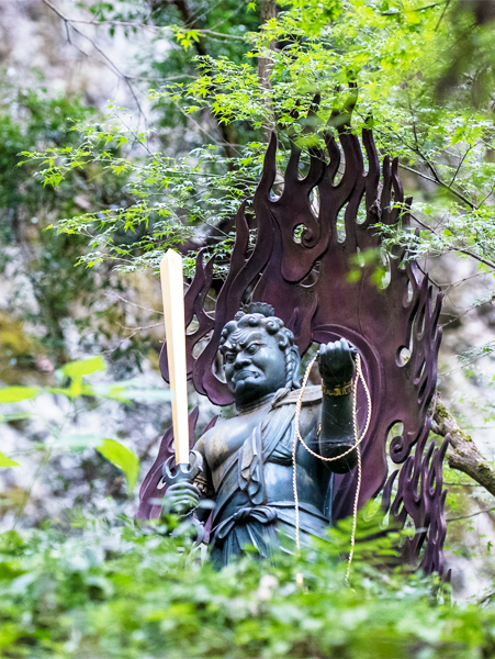 の画像