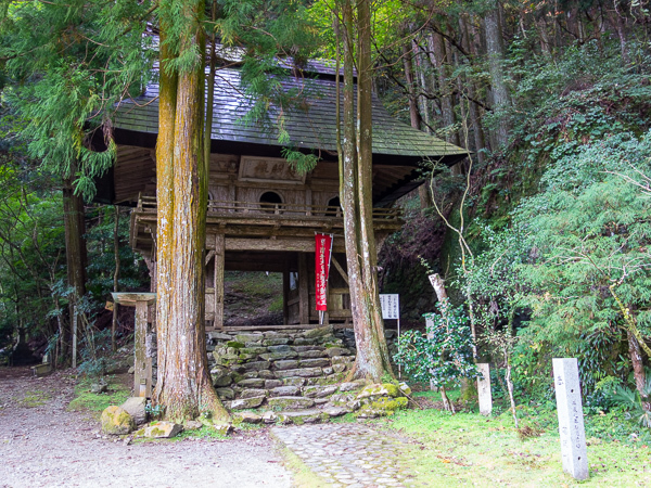 の画像