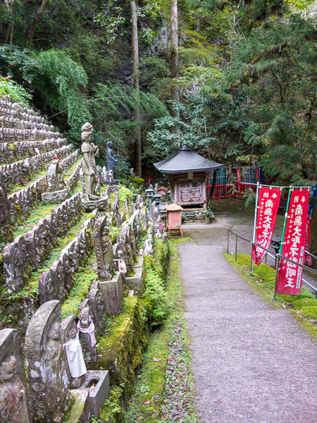 の画像