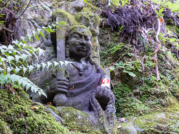 の画像