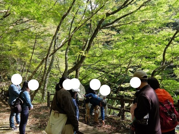 の画像