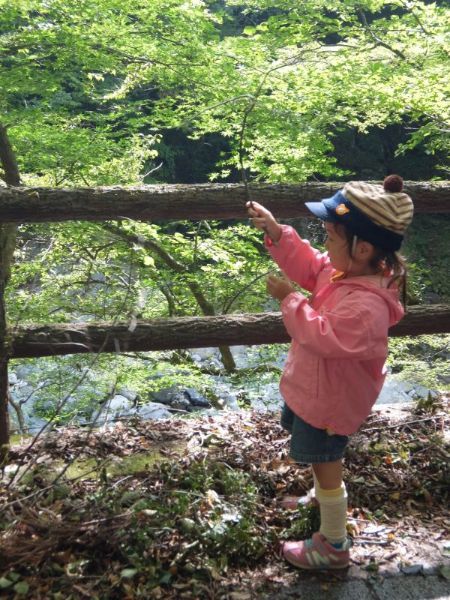 の画像