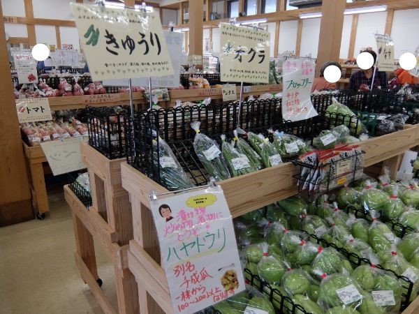 の画像