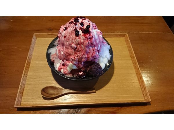 の画像