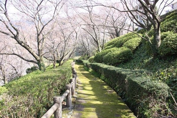 の画像