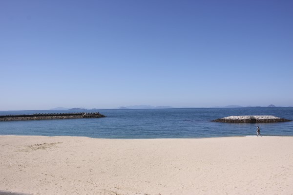 の画像