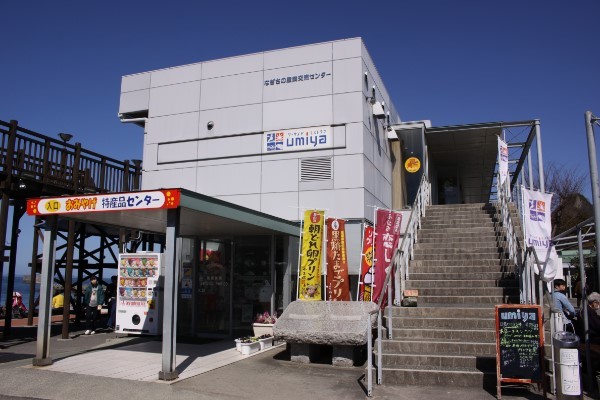の画像