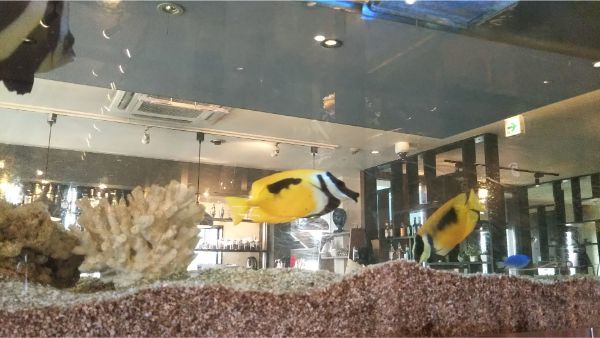 の画像
