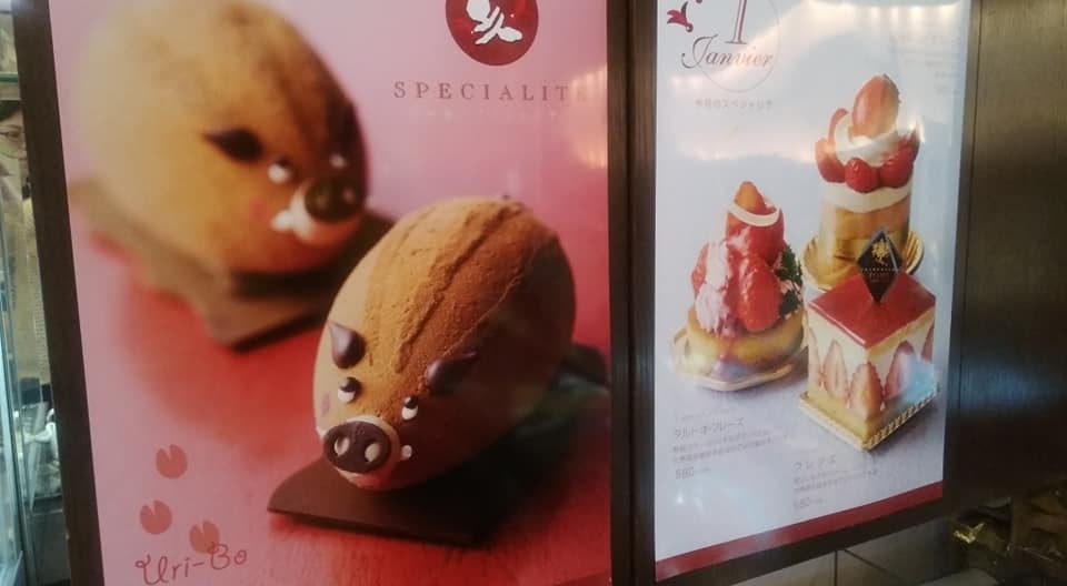 の画像