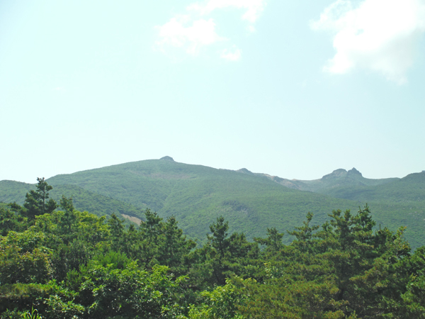 の画像