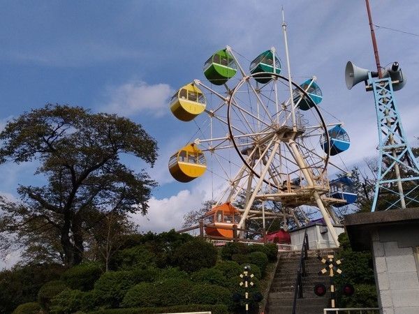 の画像