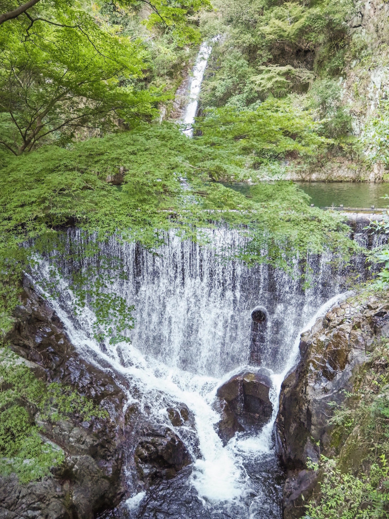 の画像