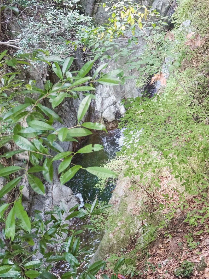 の画像