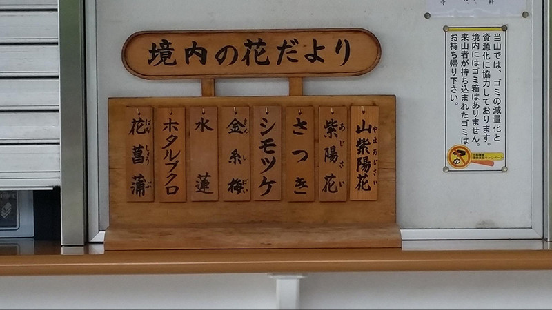 の画像