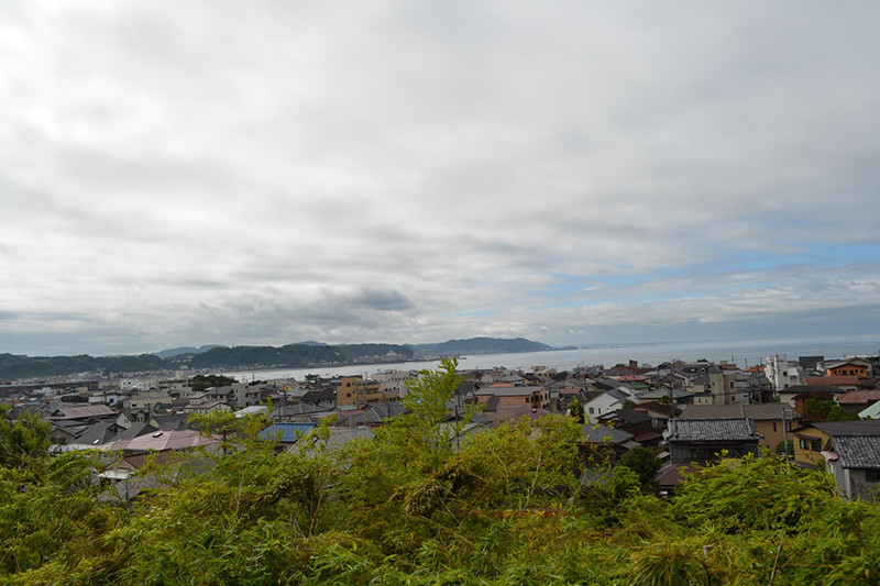 の画像