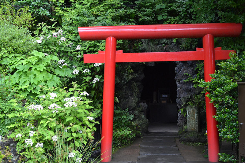の画像