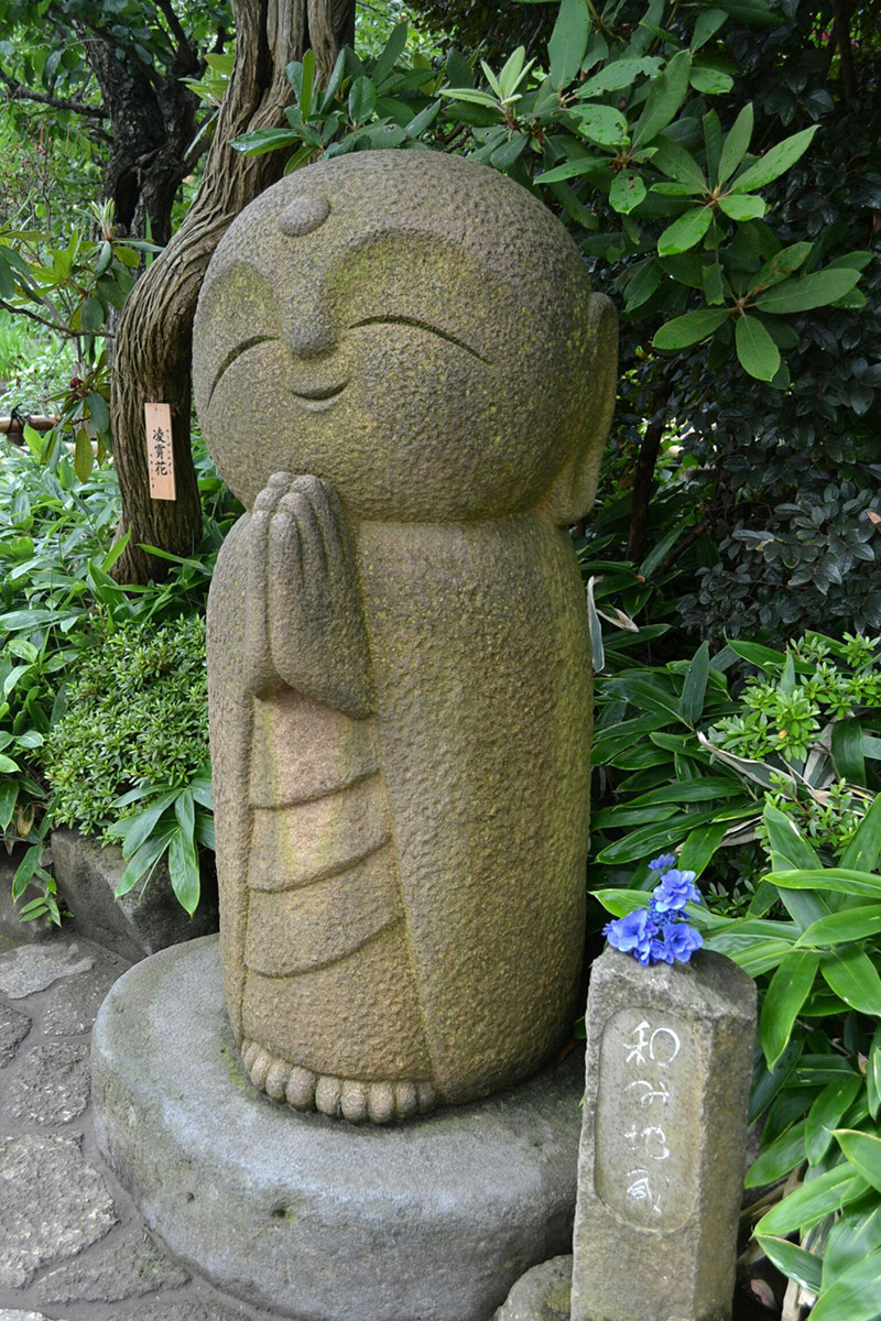 の画像