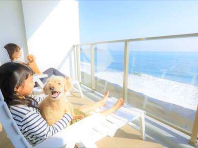 愛犬と旅行するなら レジーナリゾート鴨川 に決まり Aumo アウモ