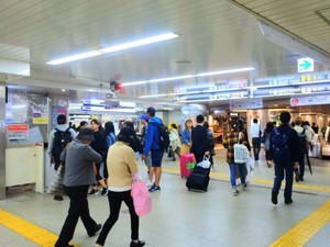 の画像