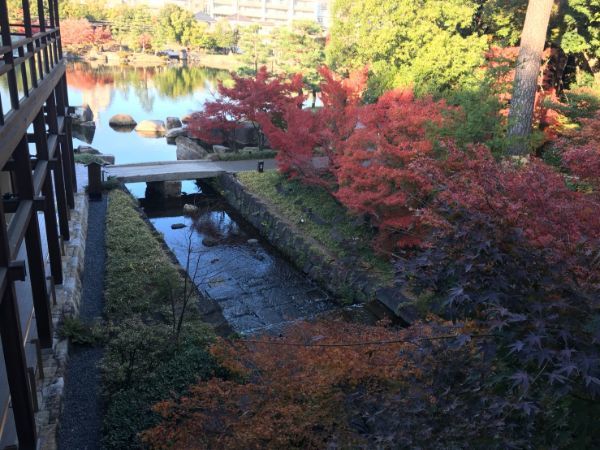 の画像