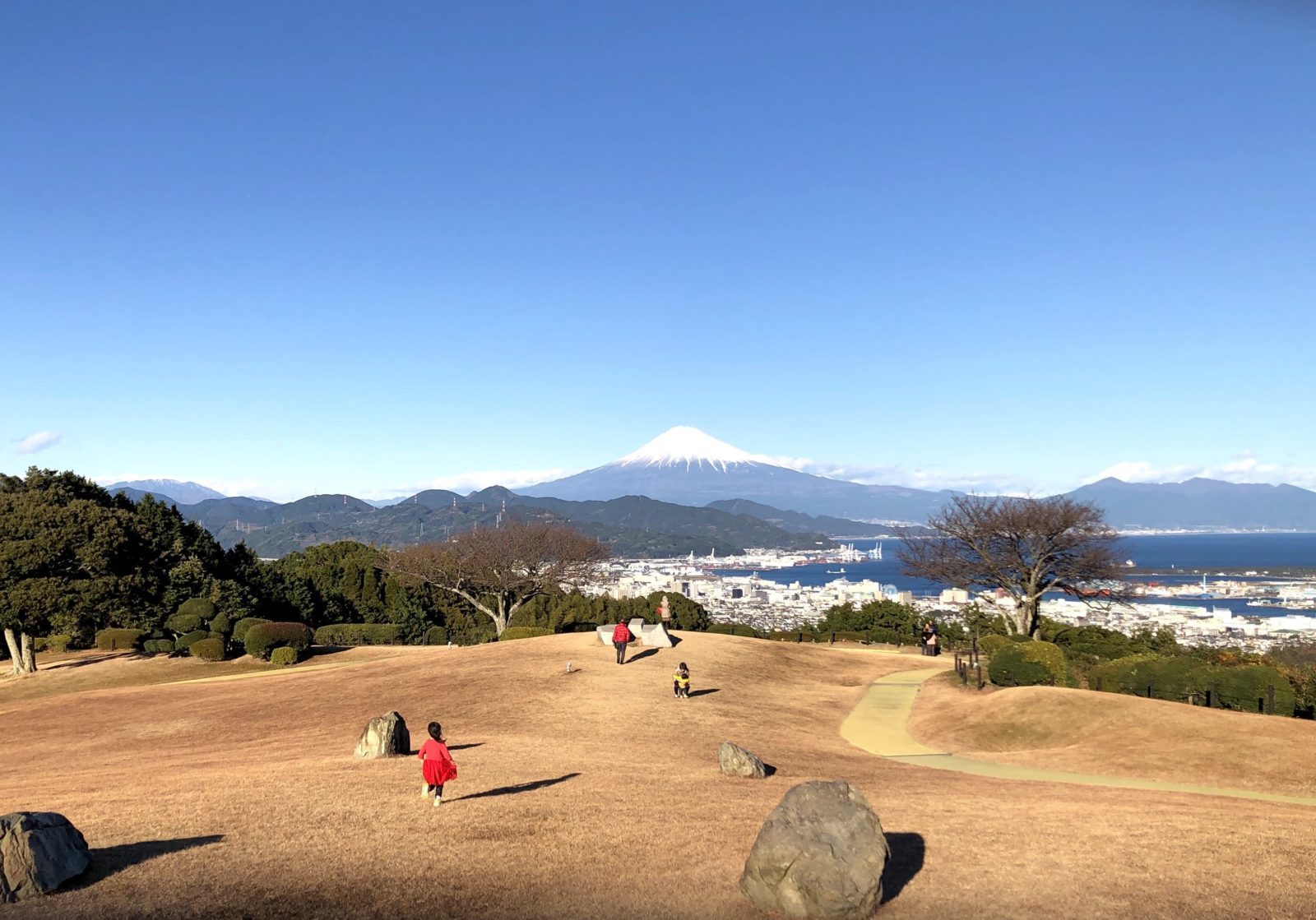 の画像