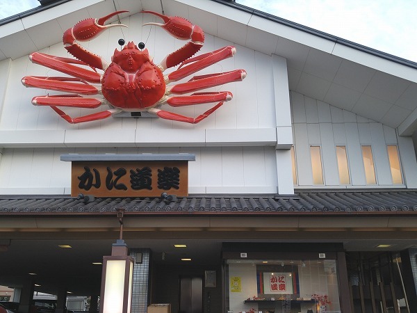 の画像