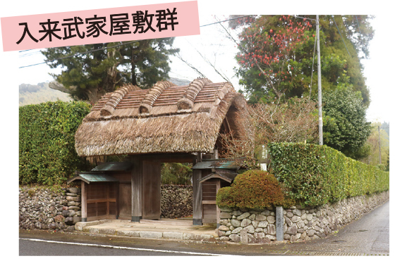の画像