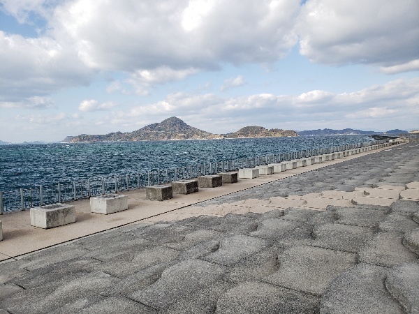 の画像