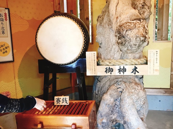 の画像