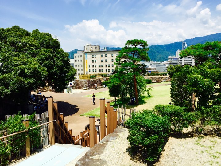 の画像