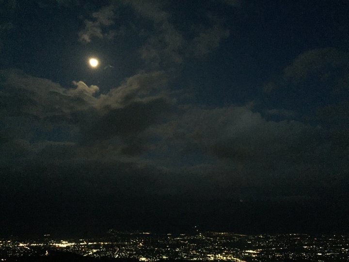 の画像