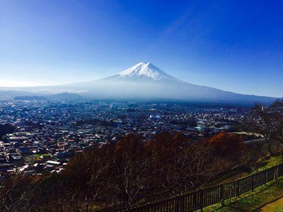の画像