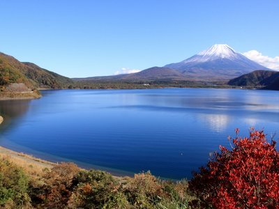 の画像