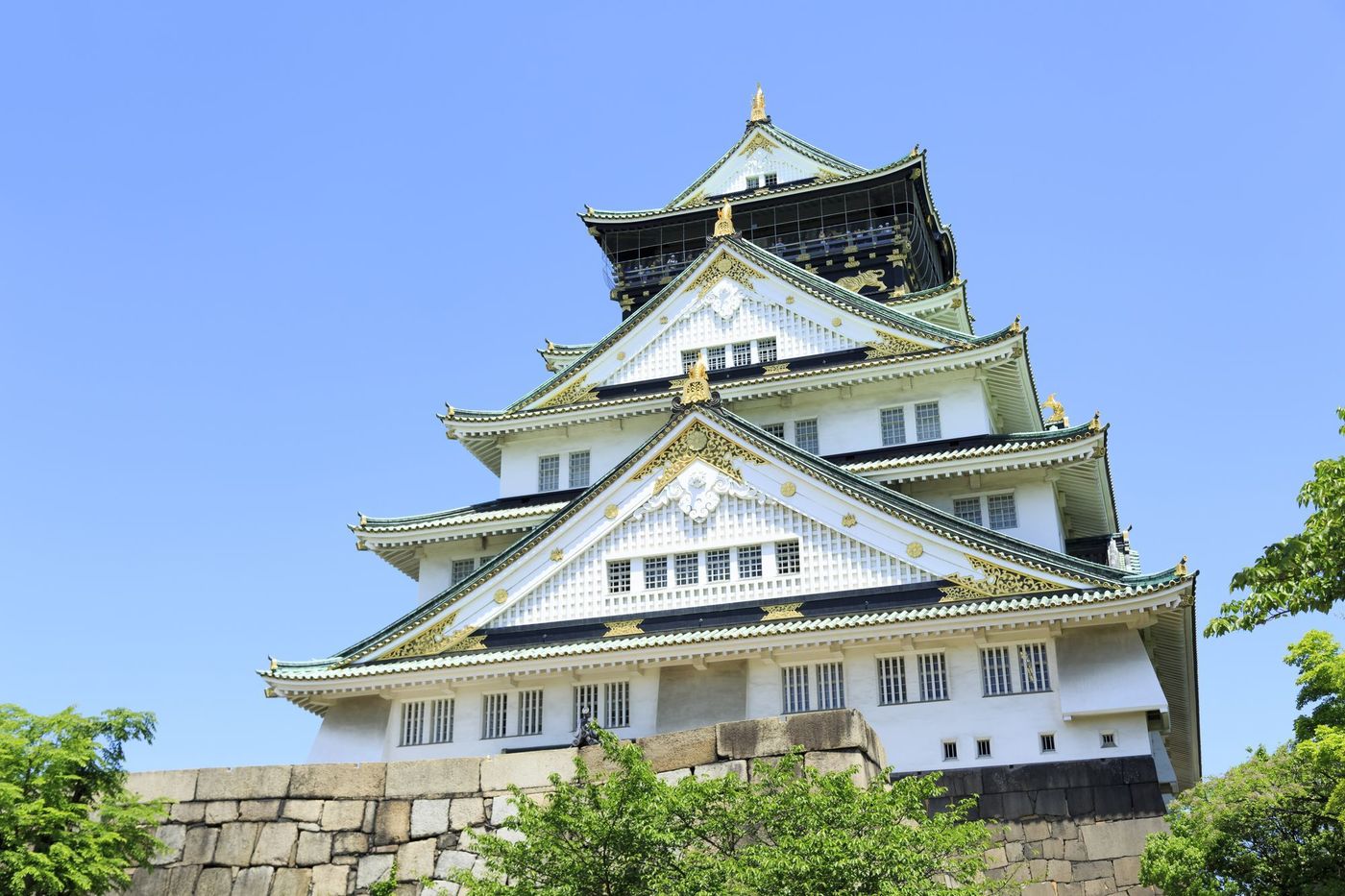 の画像