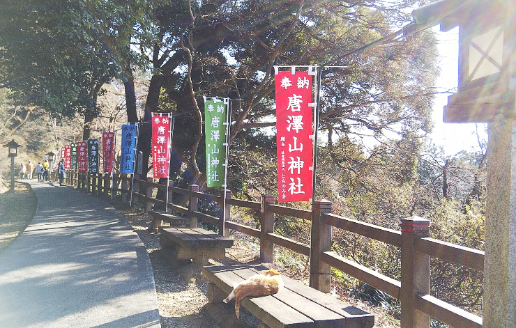 の画像