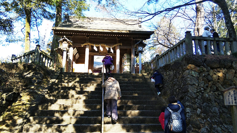 の画像
