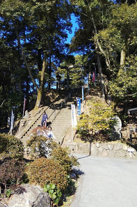 の画像