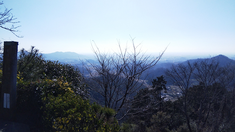 の画像