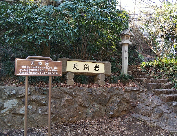 の画像
