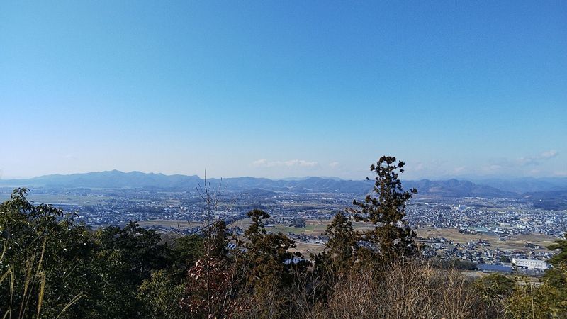 の画像